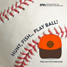 Twins ball and hat on the ball with DNR logo