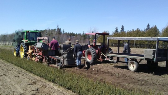 equipment at tree nursery