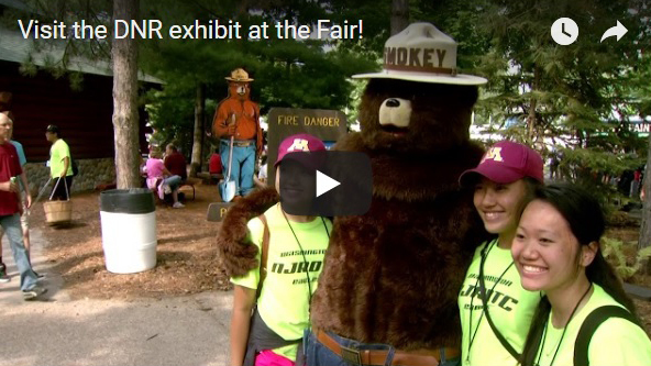 fair preview video