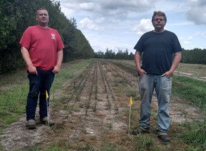 two state nursery workers