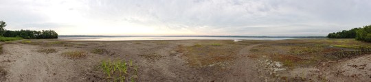 - Panoramic picture showing extent of drawdown flats on the north end of Little Rock Lake at Benton Beach and the extent of native plants installed.