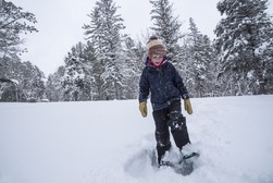 Child snowshoeing in forest