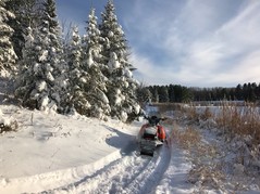 Snowmobile parked on snow-covered trail, Chippewa National Forest