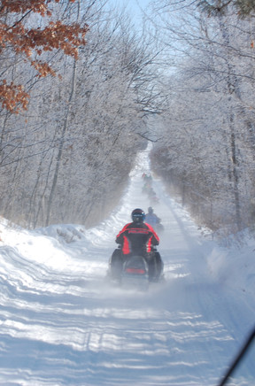 Snowmobilers through the woods