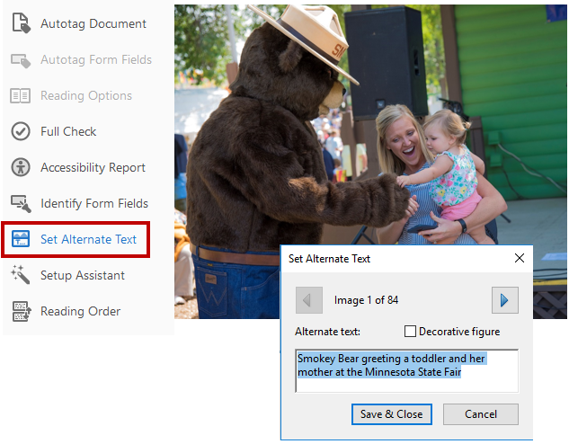 Screen shot of set alternate text steps in PDF. Detailed instructions above.