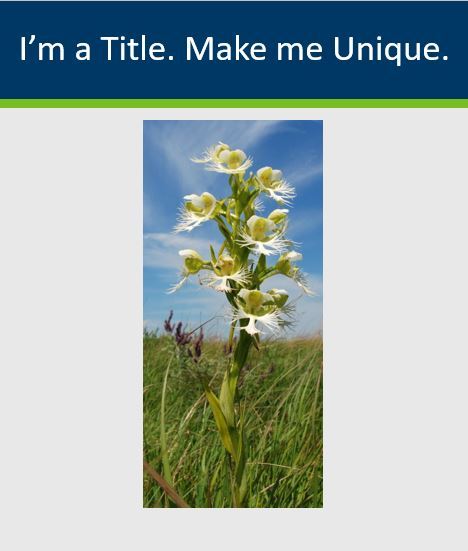 Screen shot of slide with photo of flower and title text that reads I am a title. Make me unique.