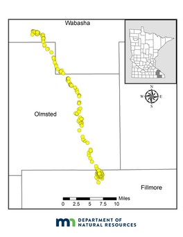 Map showing the path of a doe fawn that has moved north from Fillmore County, through Olmsted County, to Wabasha County