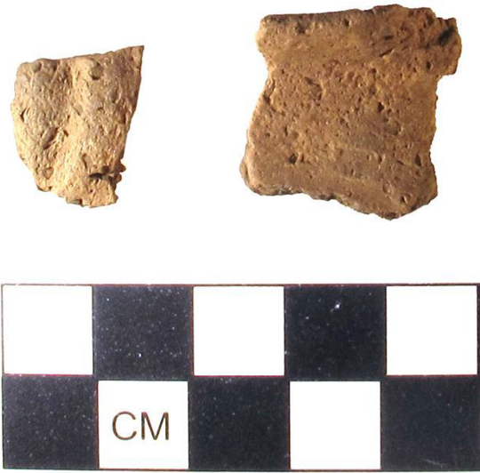 Two pottery sherds that were shell-tempered found at Wild River State Park