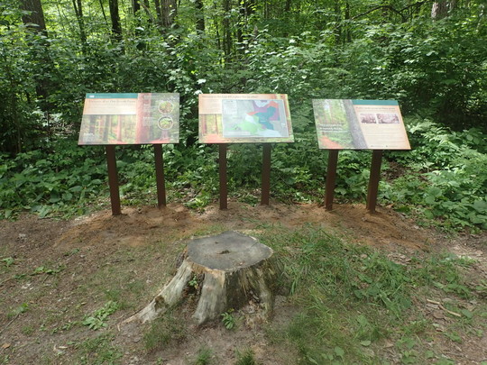 Interpretive signs on the trail