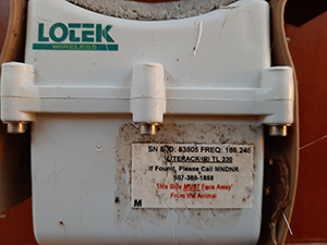 image of a deer collar