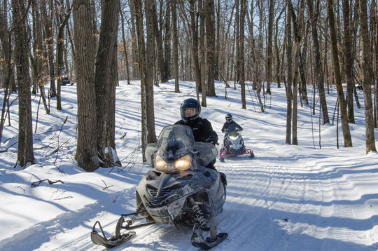 Snowmobilers through the forest
