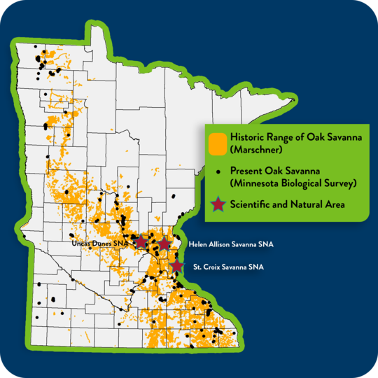 Map showing extent of Oak Savanna in MN