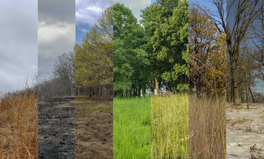 Photo Collage through the seasons
