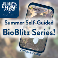 BioBlitz Promo image