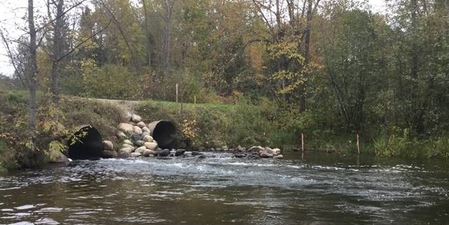 Photo of downstream side of two culverts in road crossing