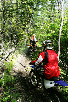 Motorcycle riders on a forest trail