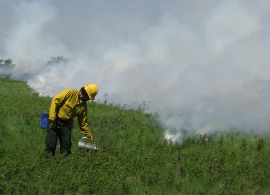 Man in fire clothing igniting grass.