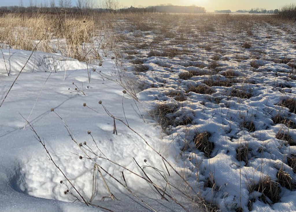 Composite of a winter/spring prairie
