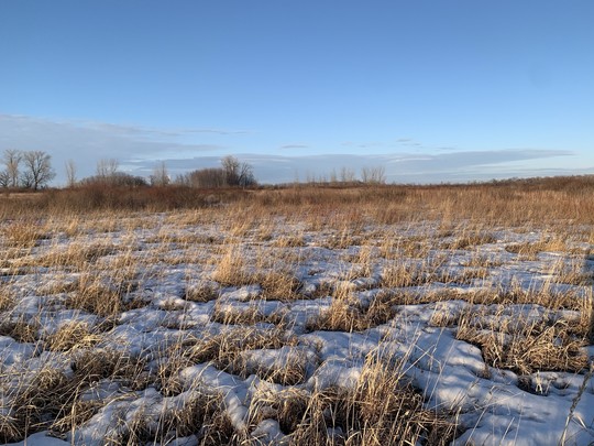 Melting snow on the prairie