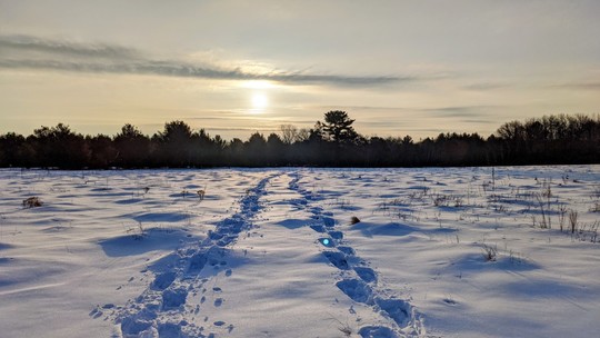Sun over a snow drifted lake