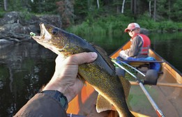 walleye held by angler in canoe with kid in front