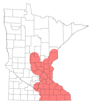 Minnesota known range of oak wilt map.