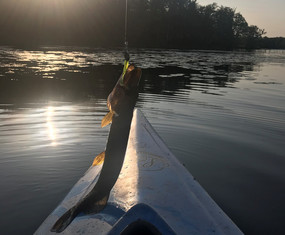 kayak with a pike hanging over the front of it on the line 