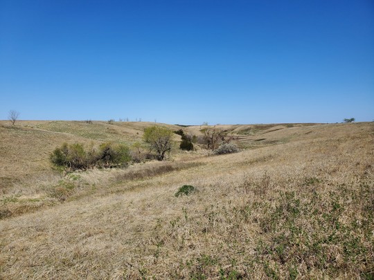 a prairie on a sunny day