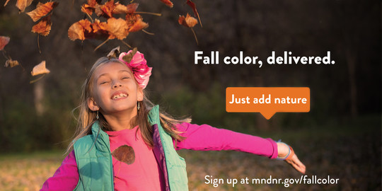 Girl smiling and throwing brown leaves up in the air. Text reads "Fall color, delivered. Just add nature. Sign up at mndnr.gov/fallcolor"