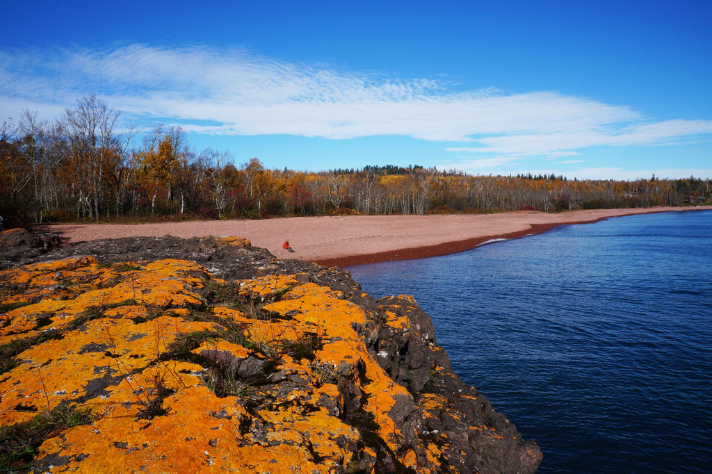 A person sitting on a pebble beach looking towards the water. A large rock with bright orange spots in the foreground. Fall color trees in background