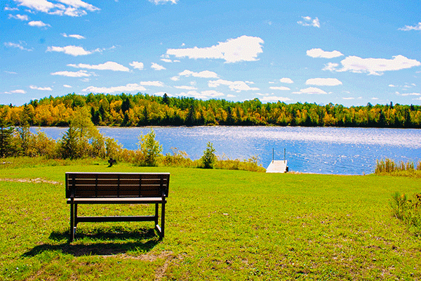 Bench by lake with trees in shades of fall colors in the background 