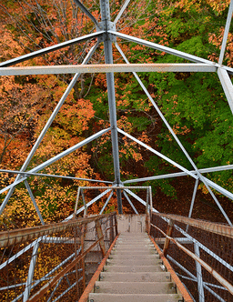 View from tower with leaves in fall colors.