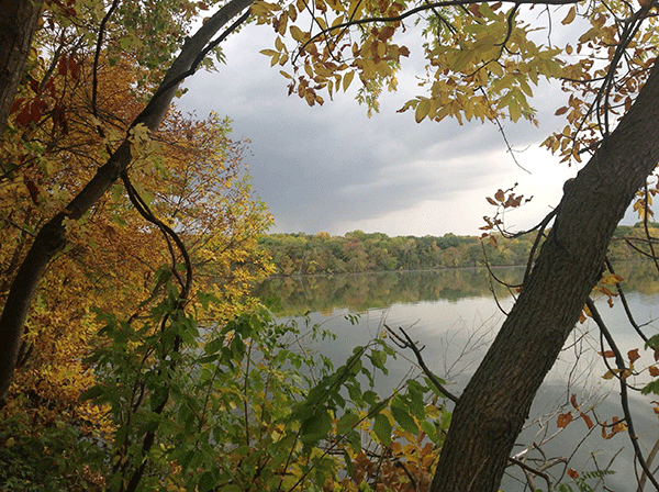 Lake seen through trees with fall colors