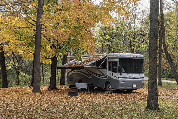 RV parked under trees surrounded by brown leaves on ground and trees.