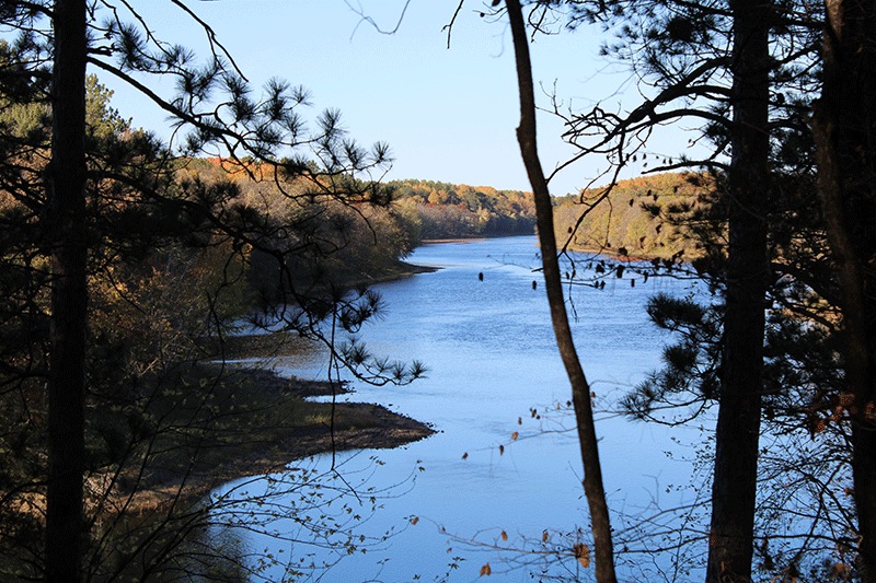 Winding river framed by trees.