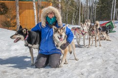 Linda Newman and her sled dogs