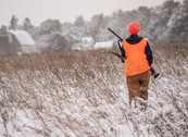 pheasant hunter in a field