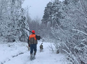grouse hunter on a trail