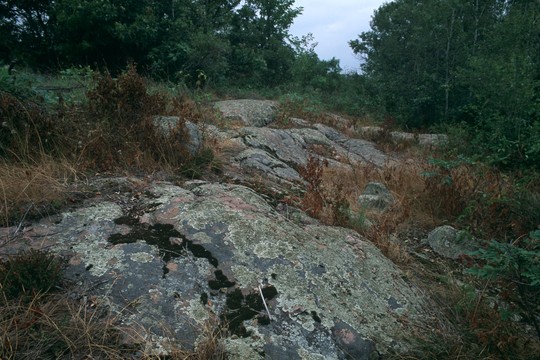 Granite outcrops at Quarry Park SNA. Photo by ColdSnap Photography.