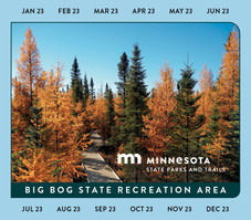 Image of 2022 Vehicle Park Permit Sticker, with months listed on border and image of tamarack trees in the fall at Big Bog State Recreation Area.
