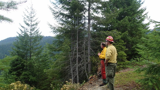 Aaron Mielke and sawyer scout out a location to establish a fuel break or fireline on the Windy fire in Oregon.
