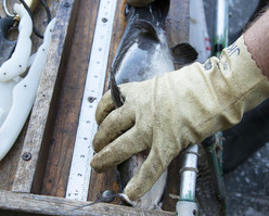 measuring a catfish on a board