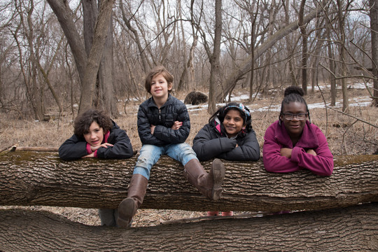 4 young girls of different ethnicities posing with a big fallen tree on a spring day, 1 sitting in front, the other 3 with heads poking from behind.