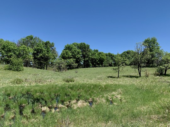 Oak savanna and sedge meadow on the SNA. 