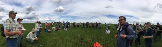 A group of prairie practitioners learn native plants on a remnant prairie in southern Minnesota.