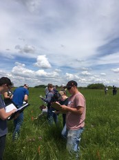 A group of prairie practitioners learn plant identification at Joseph A. Tauer SNA