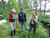 An instructor points out key grass diagnostics at a grasses identification training