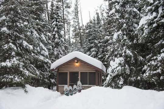 Camper cabin surrounded by snow and tall pines, snowshoes sent in front.