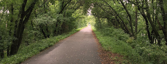 Paved trail with tree canopy