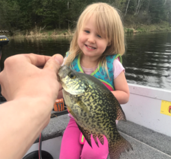 girl looking at the first fish she caught, a crappie